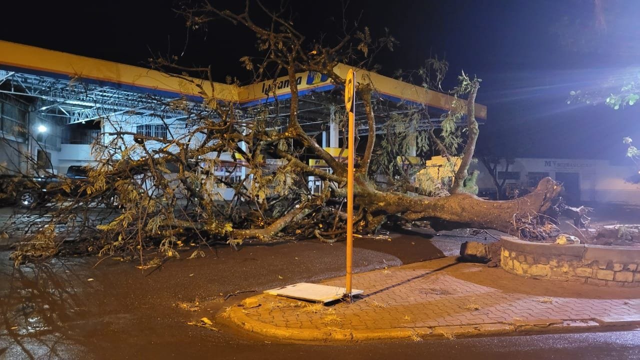 Tempestade Derruba Rvore E Causa Apag O Em Palmital Confira Fotos E