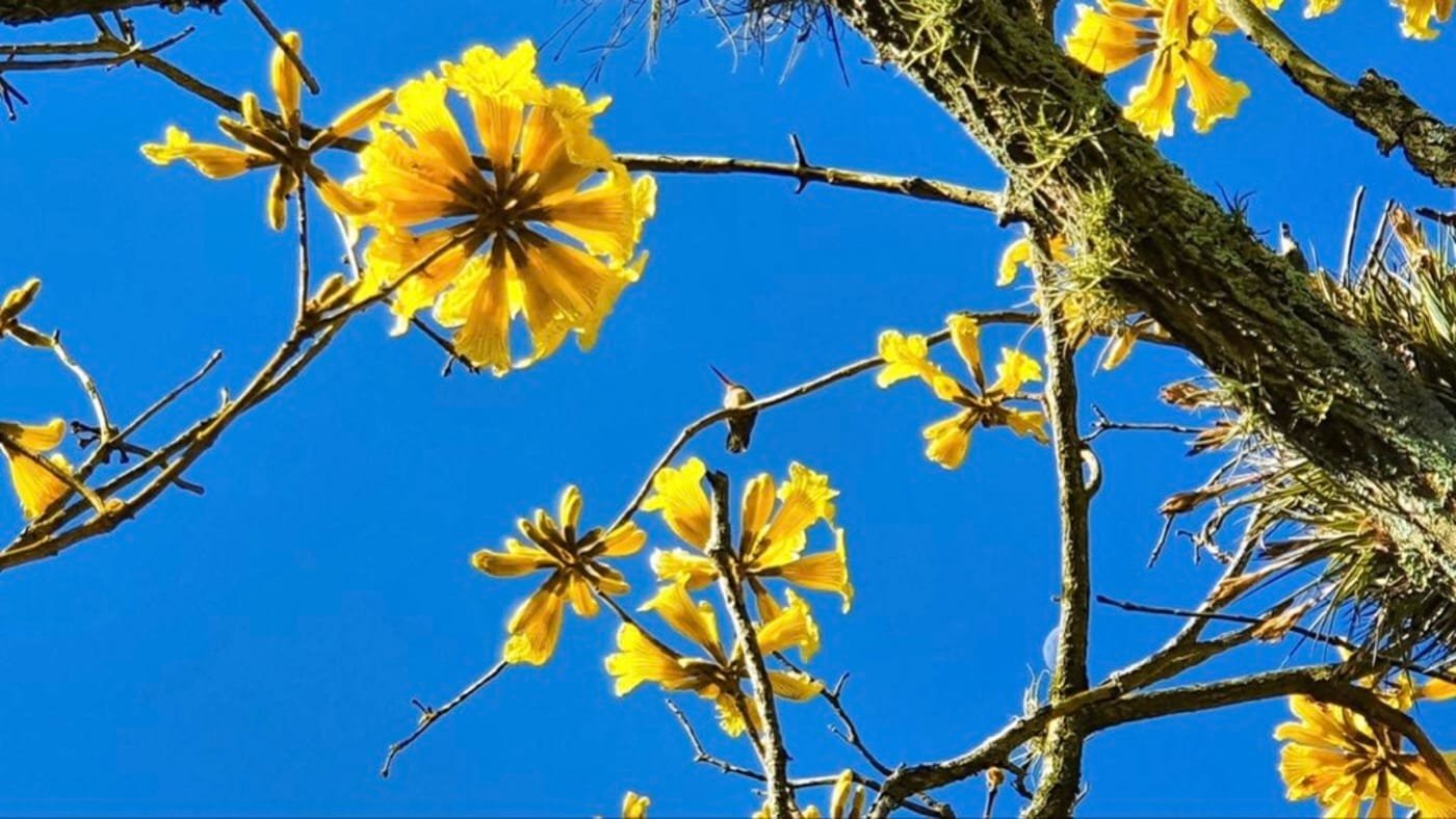 83833C29-34E4-48DB-84E1-6E5C98B00023