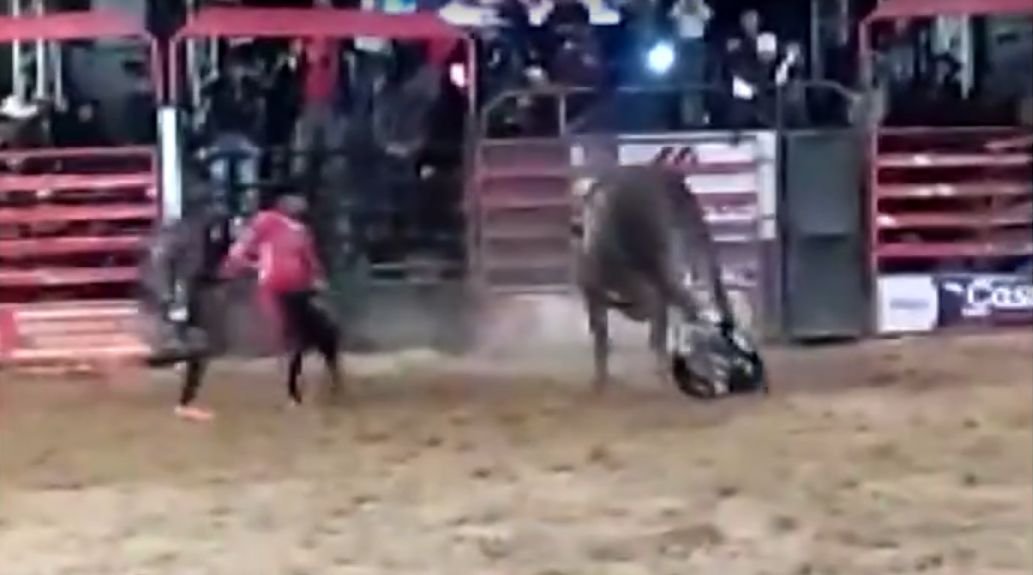 Peão morre após ser pisoteado por touro em rodeio