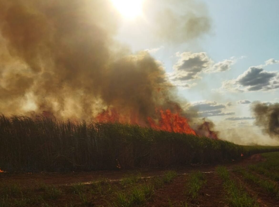 incendio agua do brejo 1