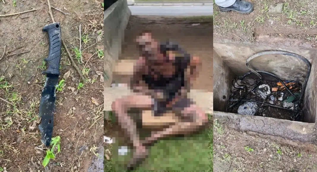 Clipboard_10-30-2025_01